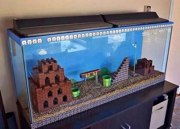 mario fish tank
