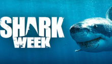 Shark Week 2017